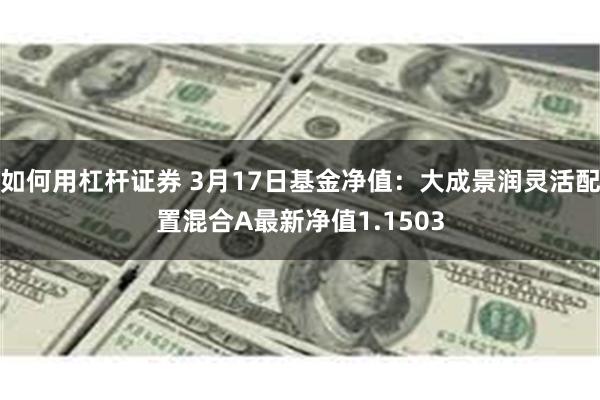 如何用杠杆证券 3月17日基金净值：大成景润灵活配置混合A最新净值1.1503