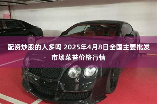 配资炒股的人多吗 2025年4月8日全国主要批发市场菜苔价格行情