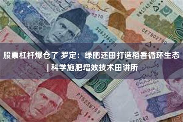 股票杠杆爆仓了 罗定：绿肥还田打造稻香循环生态 | 科学施肥增效技术田讲所