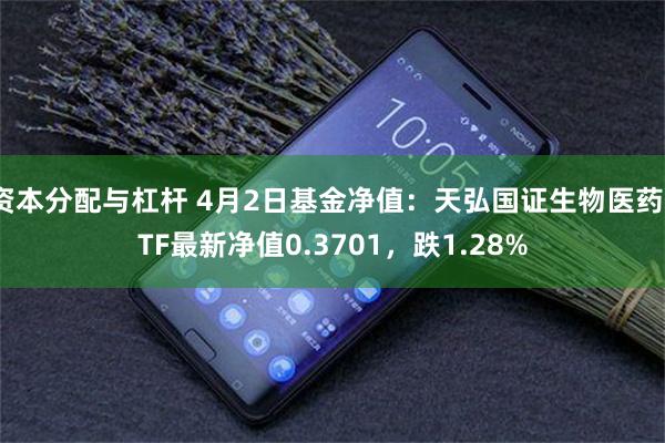 资本分配与杠杆 4月2日基金净值：天弘国证生物医药ETF最新净值0.3701，跌1.28%