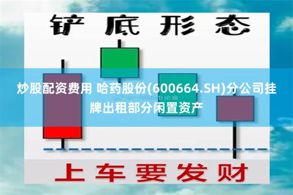 炒股配资费用 哈药股份(600664.SH)分公司挂牌出租部分闲置资产