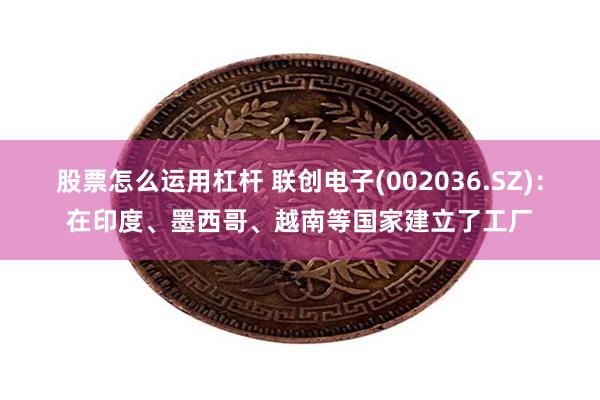 股票怎么运用杠杆 联创电子(002036.SZ)：在印度、墨西哥、越南等国家建立了工厂