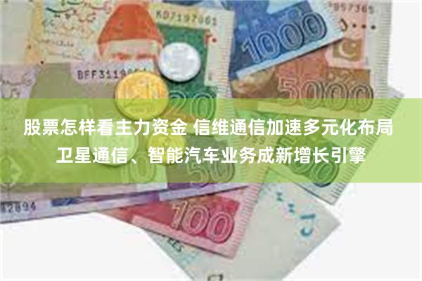 股票怎样看主力资金 信维通信加速多元化布局 卫星通信、智能汽车业务成新增长引擎