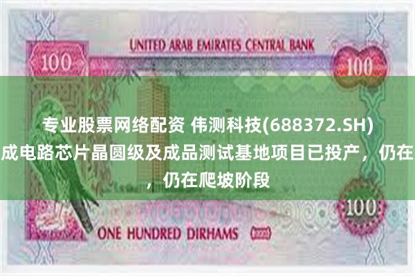 专业股票网络配资 伟测科技(688372.SH)：伟测集成电路芯片晶圆级及成品测试基地项目已投产，仍在爬坡阶段